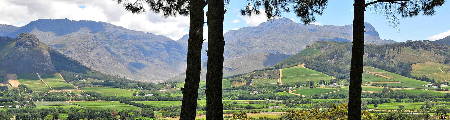 enticing africa LPF A Restaurant 014 