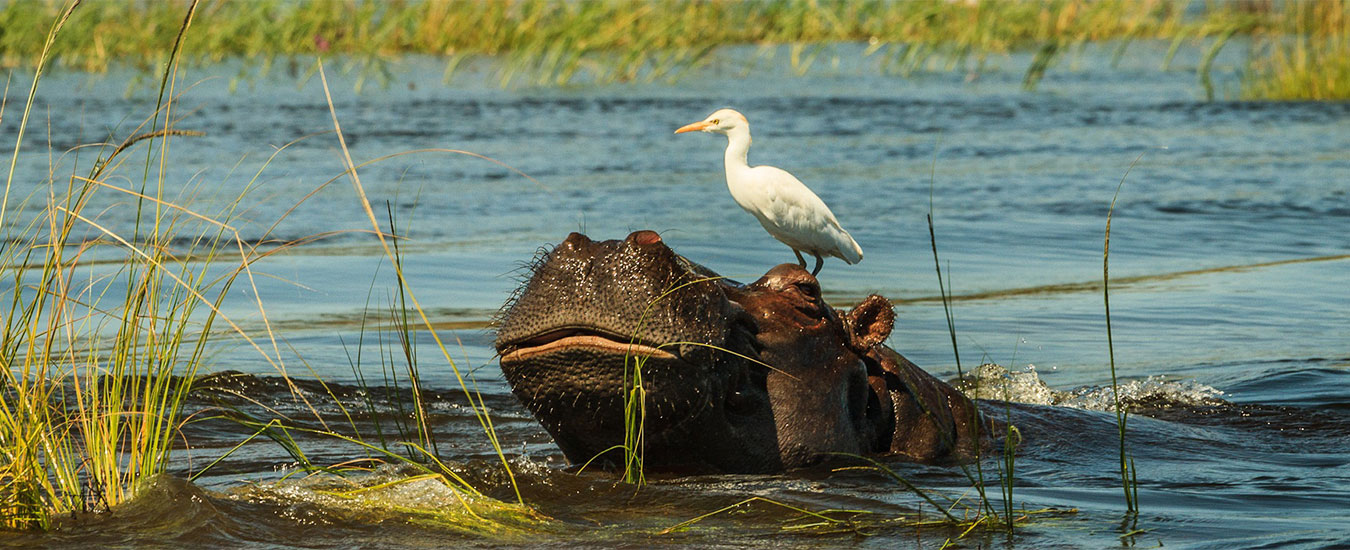 Custom-made for you: dream holidays designed by Enticing Africa  For every occasion. For every intention. For every budget.