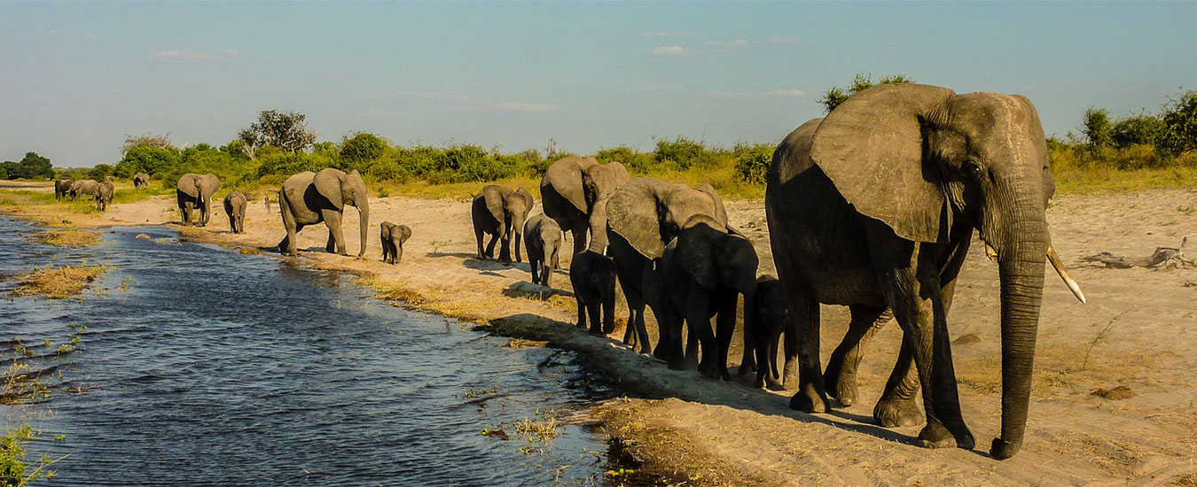 Afrika 2012 088 Panorama