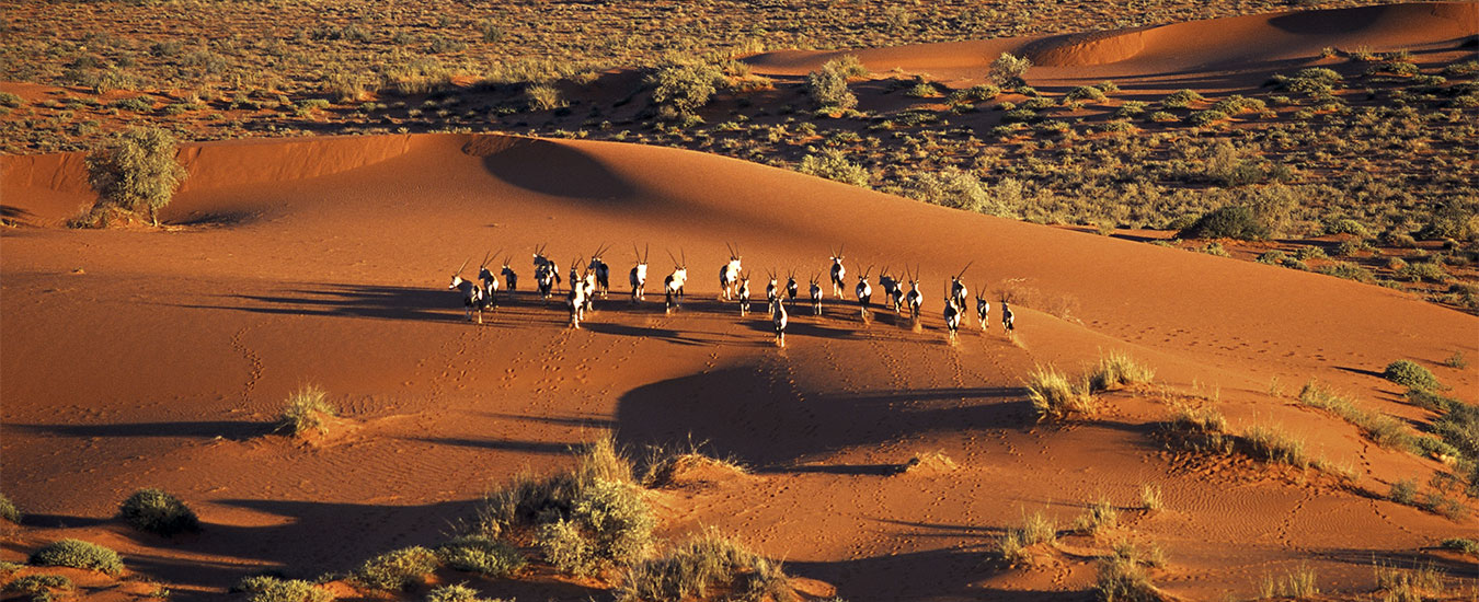 We turn your holiday dream into a dream holiday.