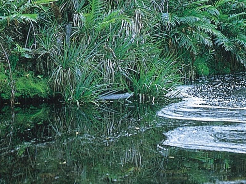 Module 10: Intimate Midlands