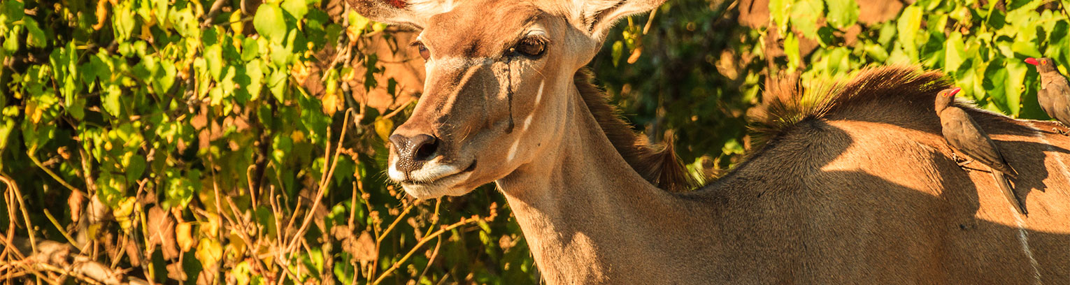 Afrika 2012 102