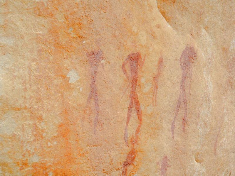 Module 3: West Coast and Cederberg