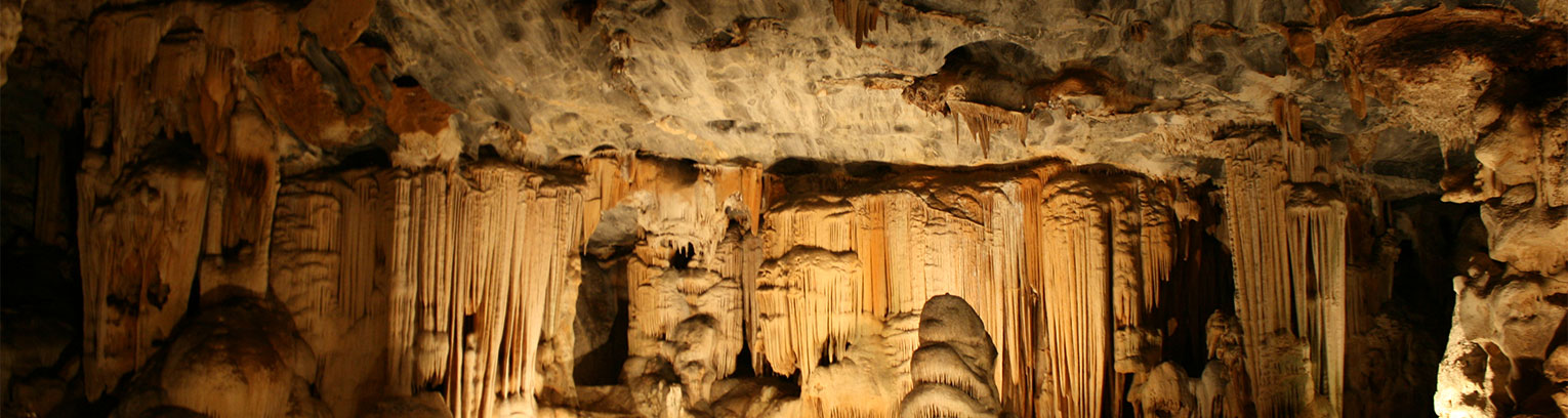 Module 4 The Southern Tip of Africa