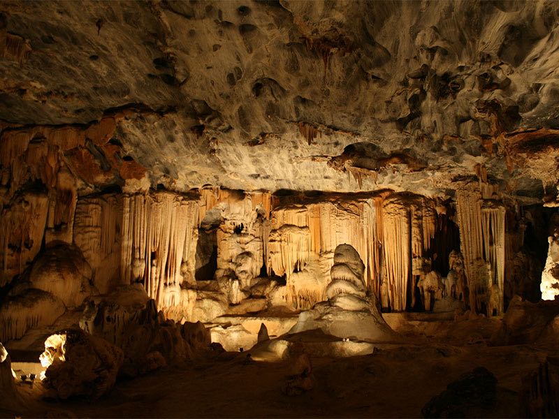 Module 4 The Southern Tip of Africa and the Little Karoo