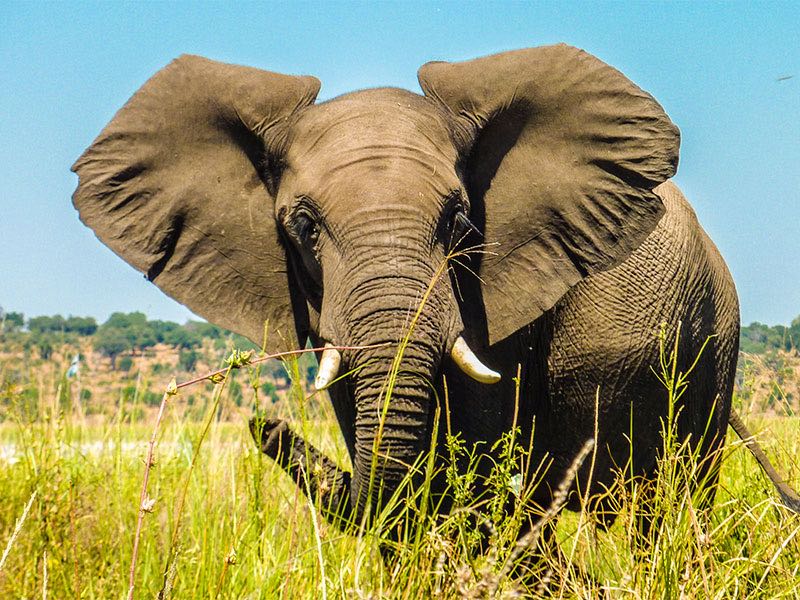 South Africa