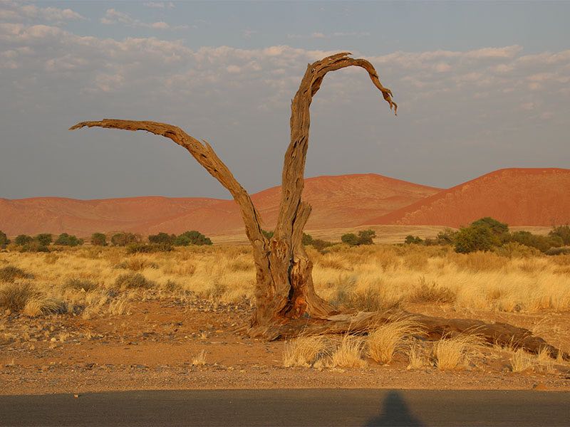 Reise 3: "Durch die Wüste(n)"